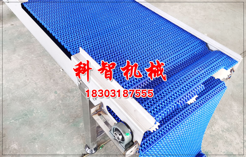 雞蛋自動(dòng)化流水線塑料網(wǎng)帶輸送機(jī)輸送設(shè)備 雞蛋自動(dòng)化流水線塑料網(wǎng)帶輸送機(jī)輸送設(shè)備